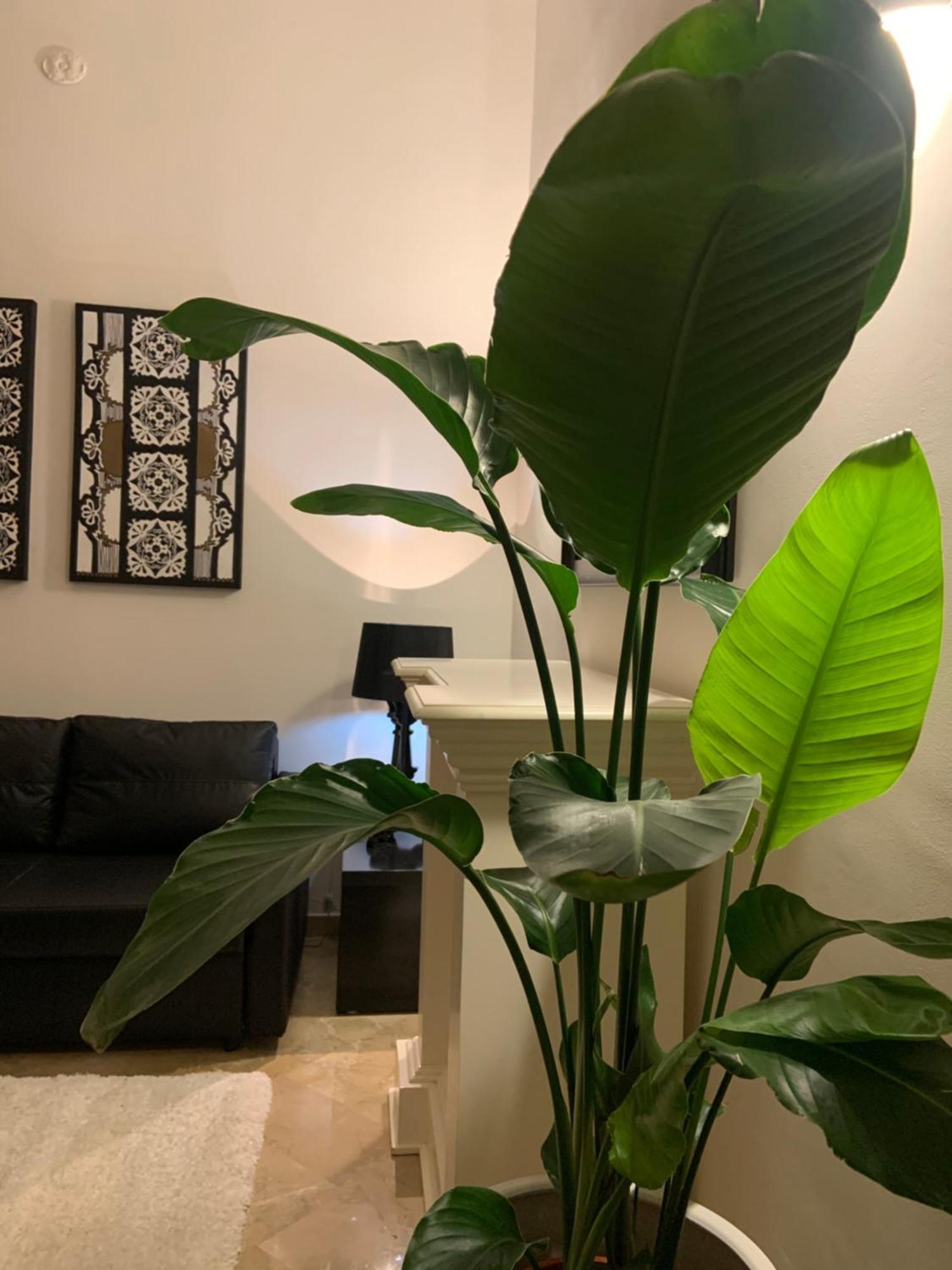 Bari Downtown Luxury Apartment Extérieur photo
